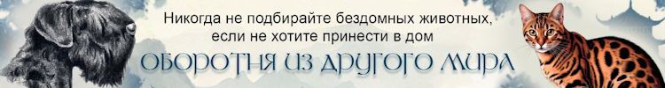 Тайна Ока Дракона оборотни